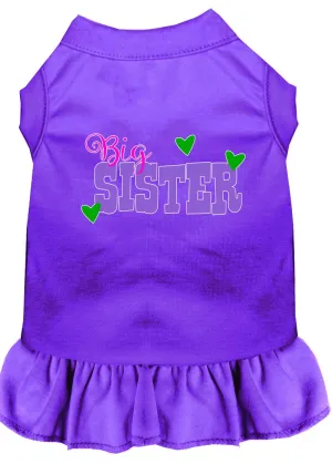 Big Sister Screen Print Dog Dress Purple 4x