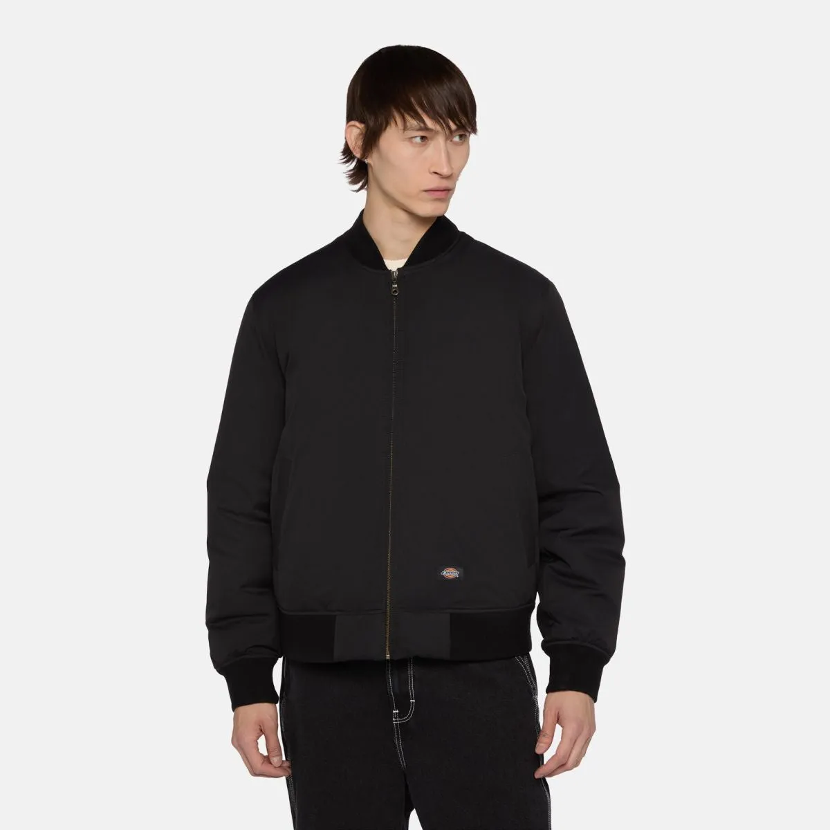 Dickies - Giacca Bomber Plains Black - DK0A4Z4M - BLACK