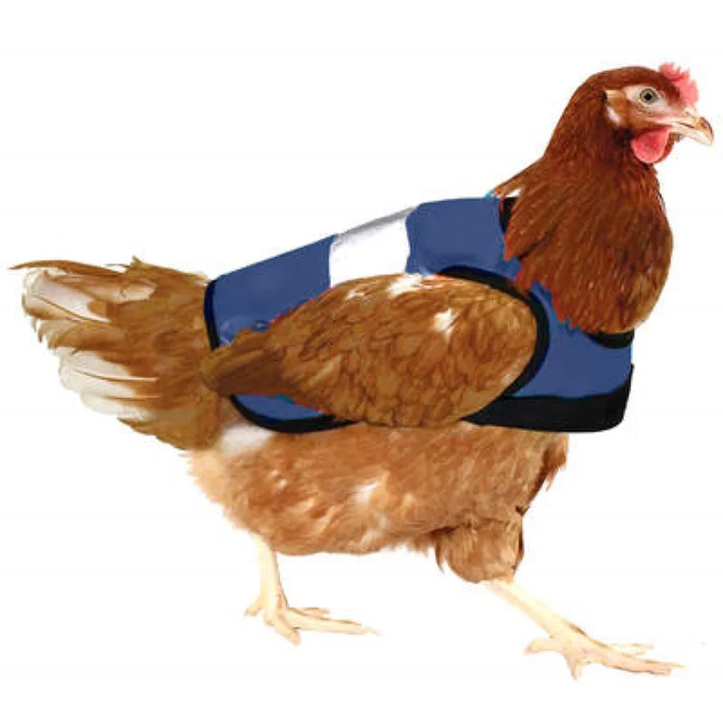 Hi-Vis Chicken Jackets | Omlet