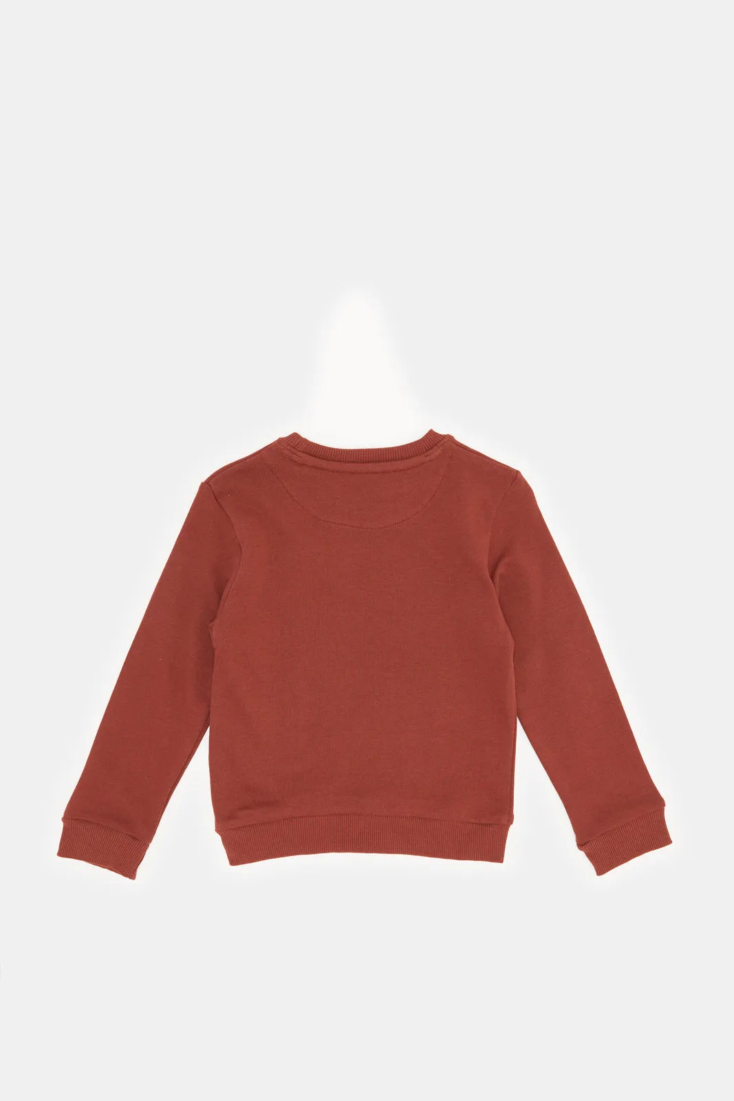 Infant Boys Burgundy Printed Sweatshirt